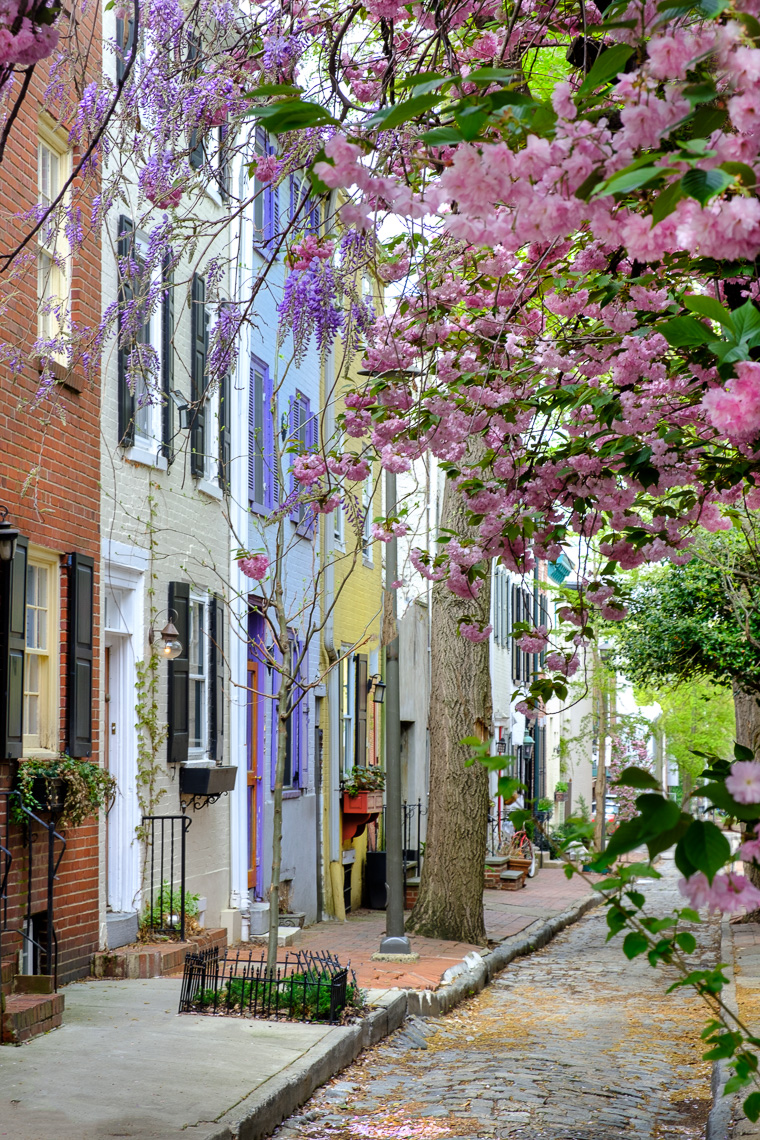 Philadelphia-street-spring-2